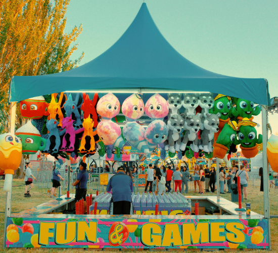 Arcade Games at Tono Park